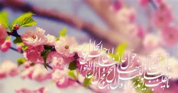 پیام تبریک معاون توسعه