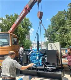 خرید دیزل ژنراتور برای تامین برق اضطراری سرور های مرکزی دانشکده علوم پزشکی 